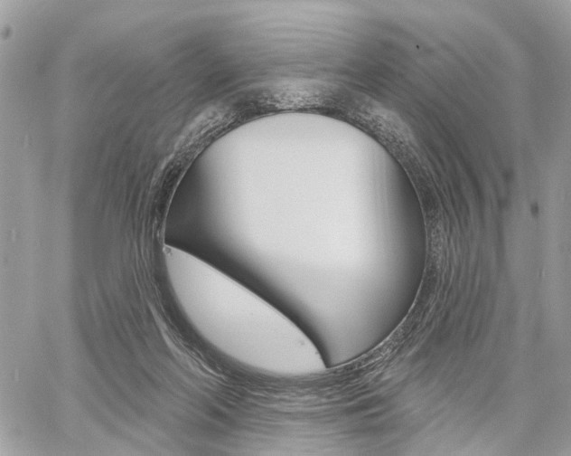 X0000060760214200511100921