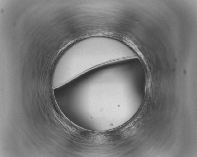 X0000060760249200511100920