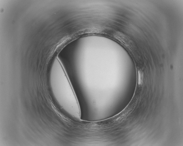X0000060760253200511100920