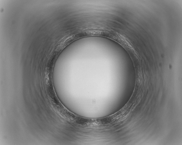 X0000060760259200511100921
