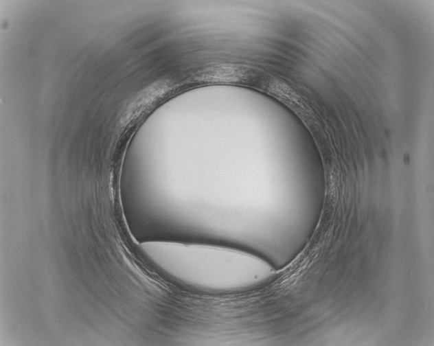 X0000060760302200511100920