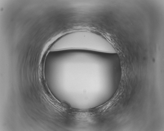 X0000060760342200511100919