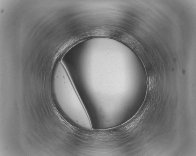 X0000060760349200511100919