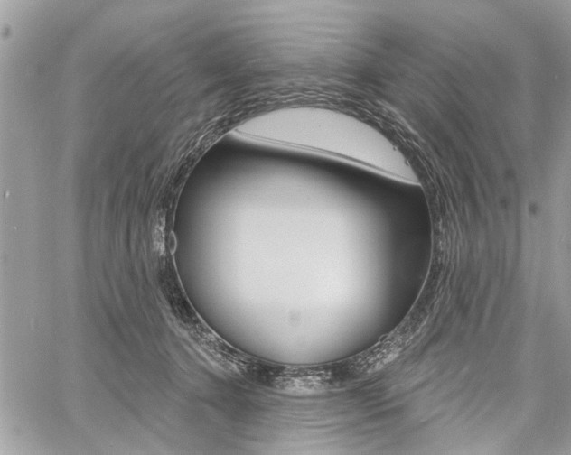 X0000060760368200511100919