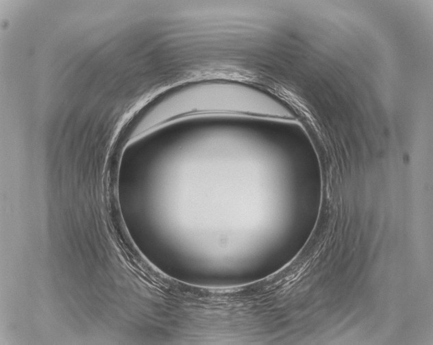 X0000060760388200511100919