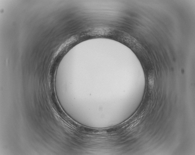 X0000060760396200511100918