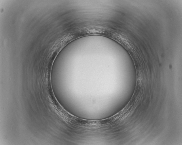 X0000060760402200511100918