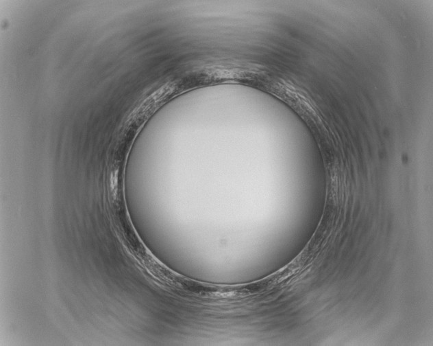 X0000060760406200511100918