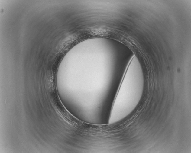 X0000060760408200511100918