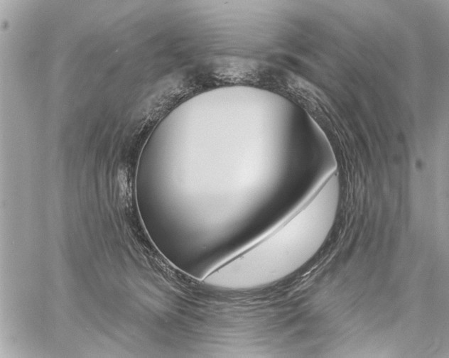 X0000060760420200511100918