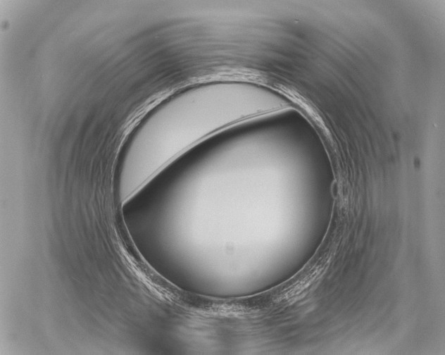 X0000060760437200511100917