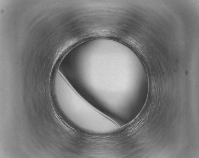 X0000060760439200511100917