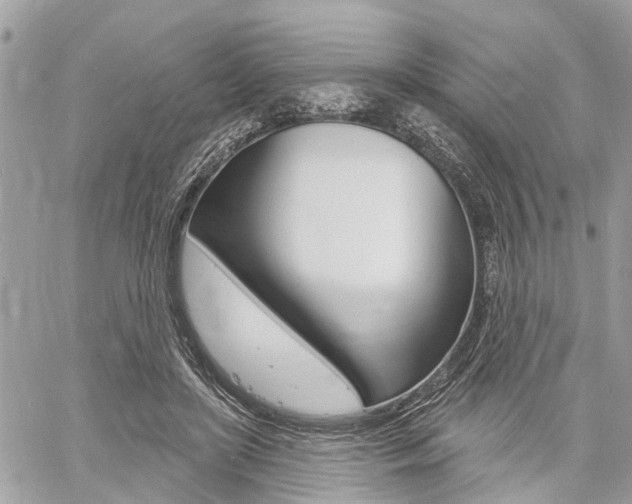 X0000060760451200511100917