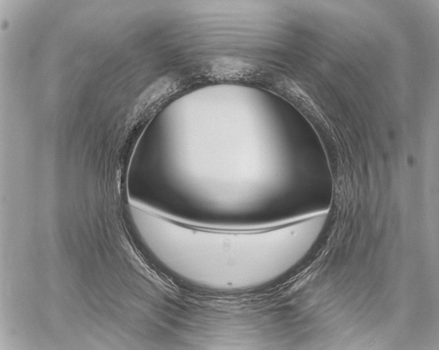 X0000060760454200511100917
