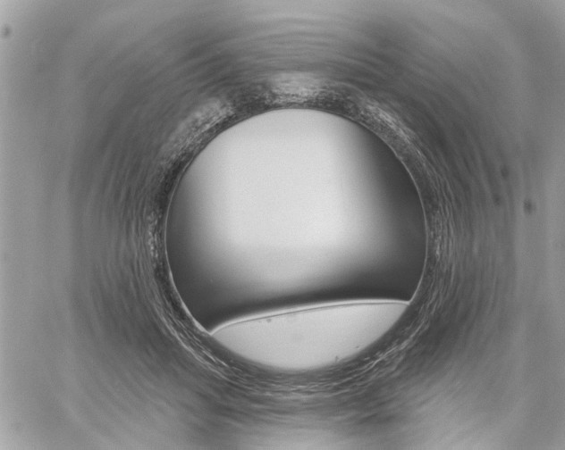 X0000060760455200511100917