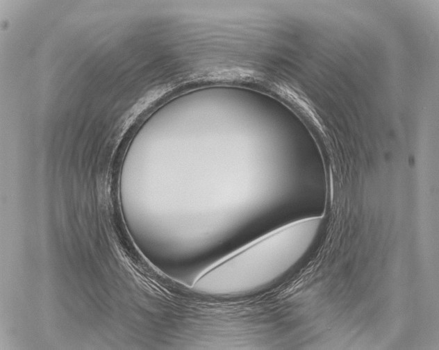 X0000060760483200511100917