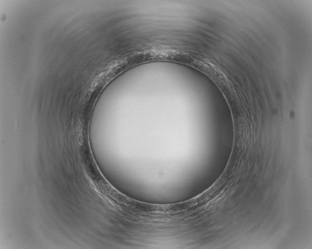 X0000060760496200511100917