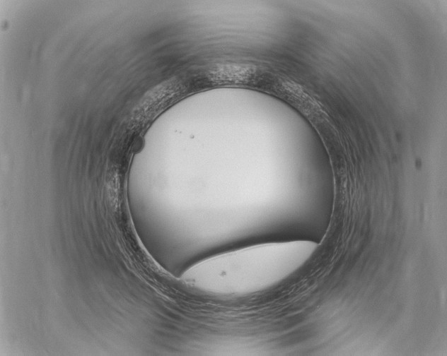 X0000060760498200511100917