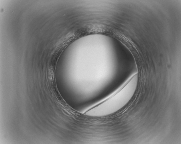 X0000060760517200511100916