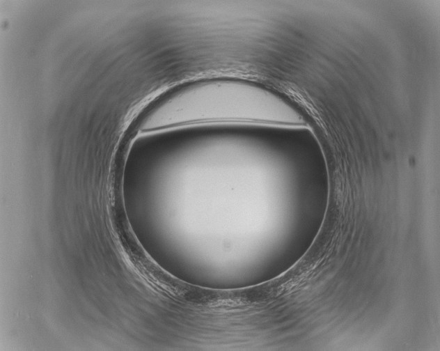 X0000060760536200511100915