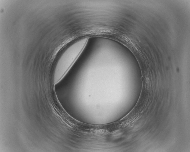 X0000060760539200511100915