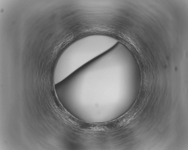 X0000060760545200511100916