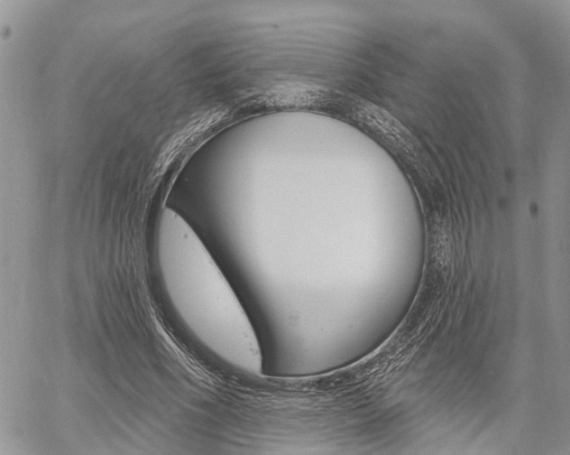 X0000060760586200511100915
