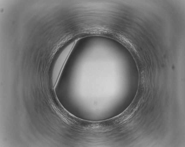 X0000060760589200511100915