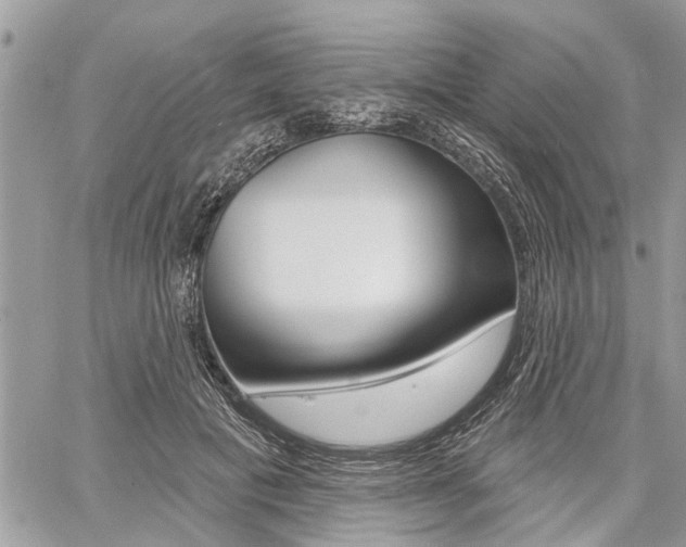 X0000060760601200511100915