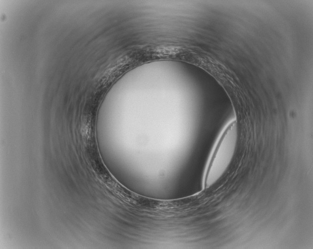 X0000060760608200511100915