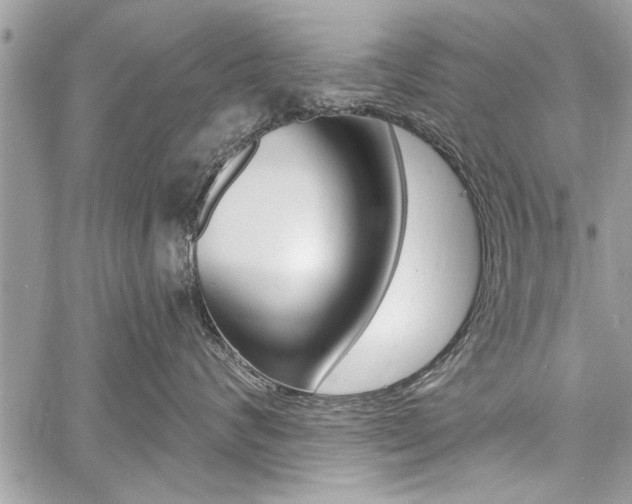X0000060760624200511100914