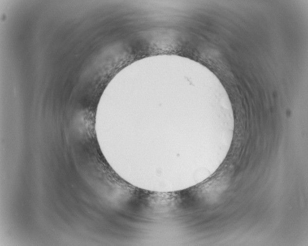 X0000060760672200511100914