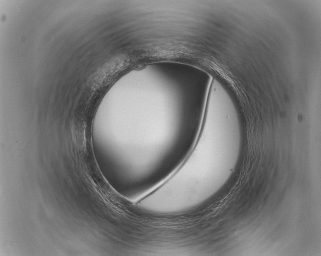 X0000060760685200511100913