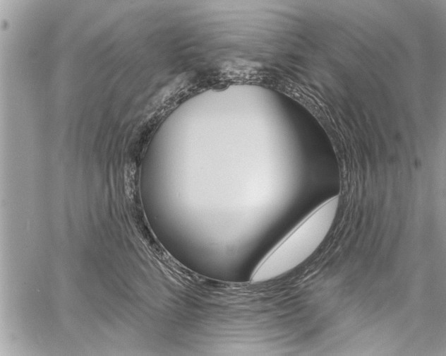 X0000060760712200511100913