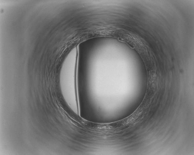 X0000060760752200511100913