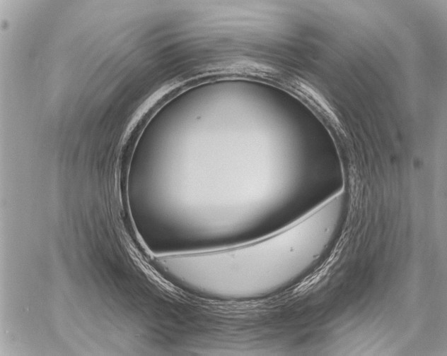 X0000060760788200511100912