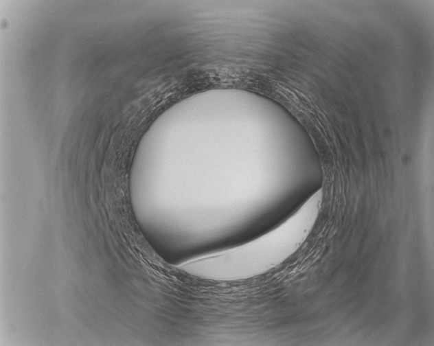 X0000060760865200511100910