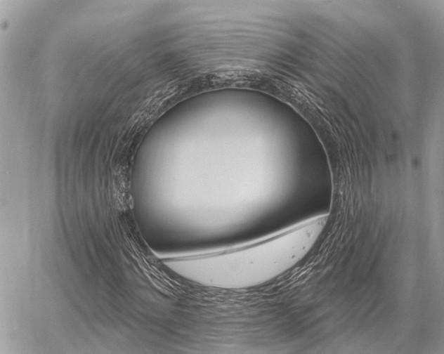 X0000060760868200511100910