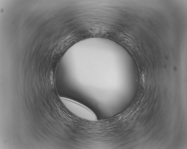X0000060760963200511100909
