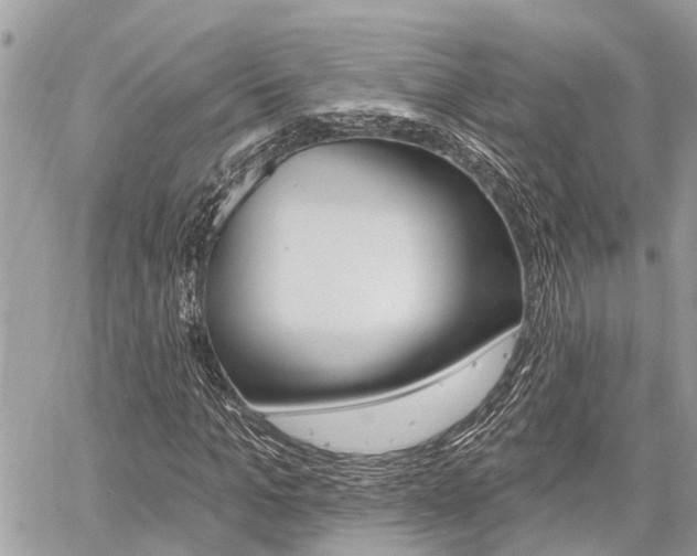 X0000060760965200511100909
