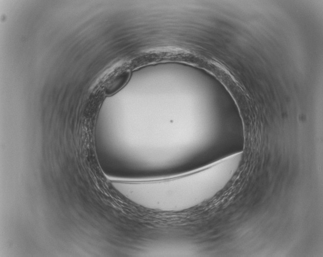 X0000060760967200511100909