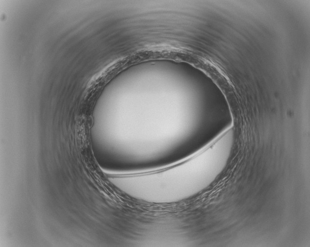 X0000060760968200511100909