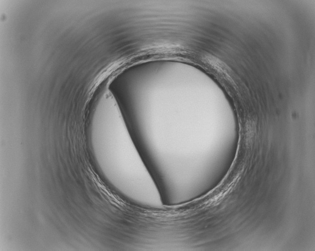 X0000060760970200511100909