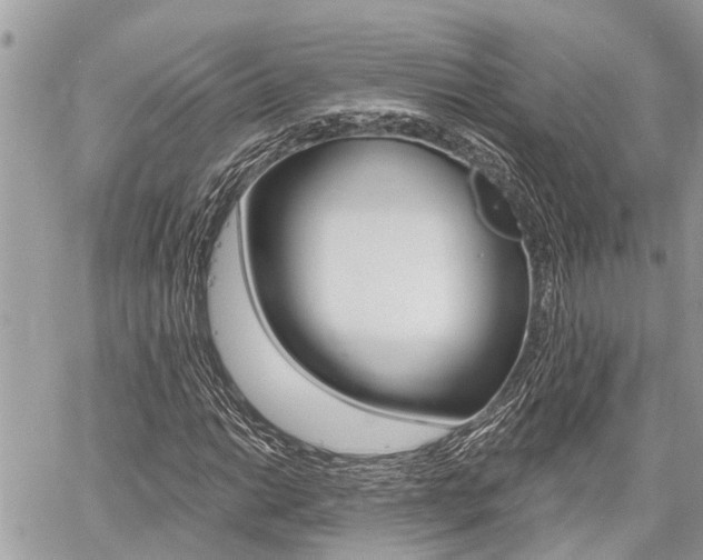 X0000060761014200511100907