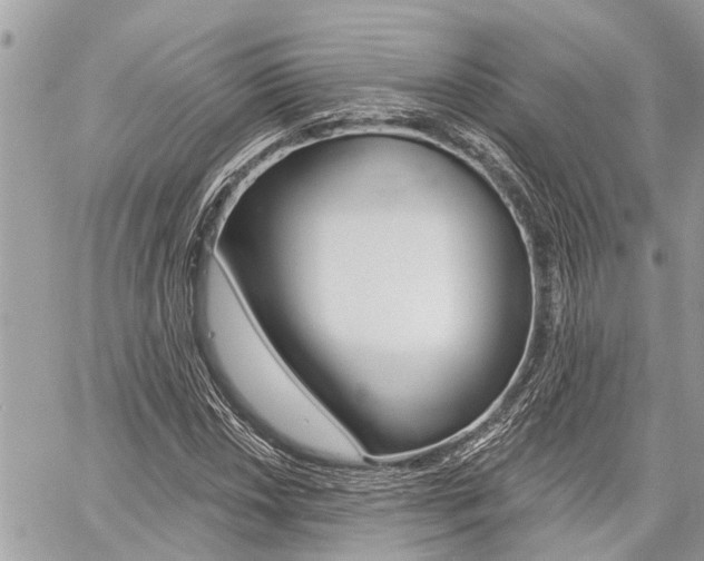 X0000060761018200511100907