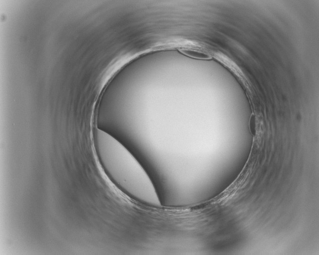 X0000060761055200511100908