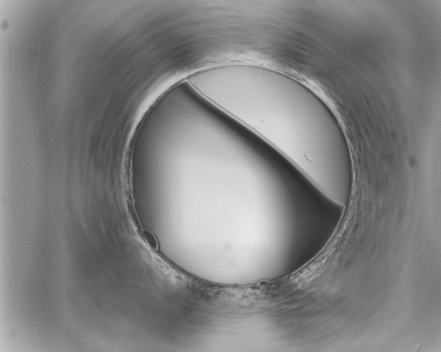 X0000060761056200511100908