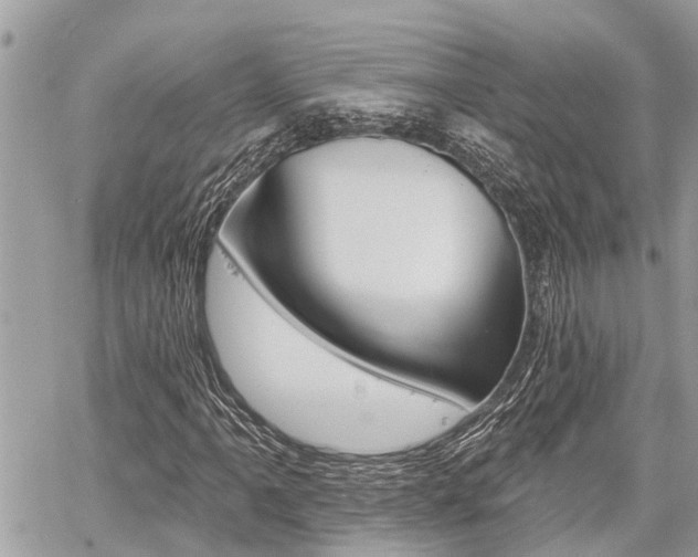 X0000060761061200511100907