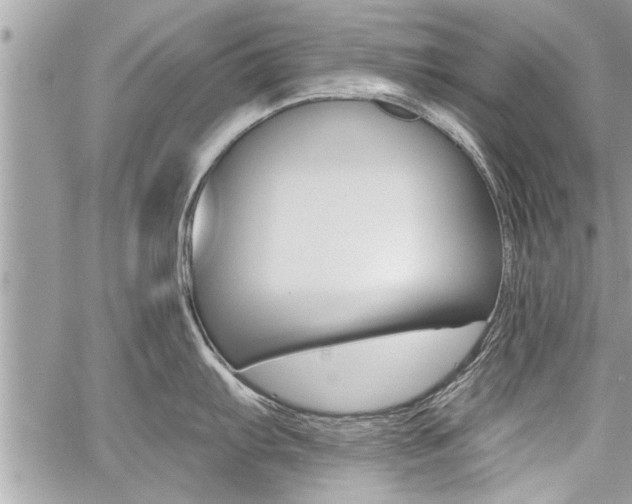 X0000060761103200511100906