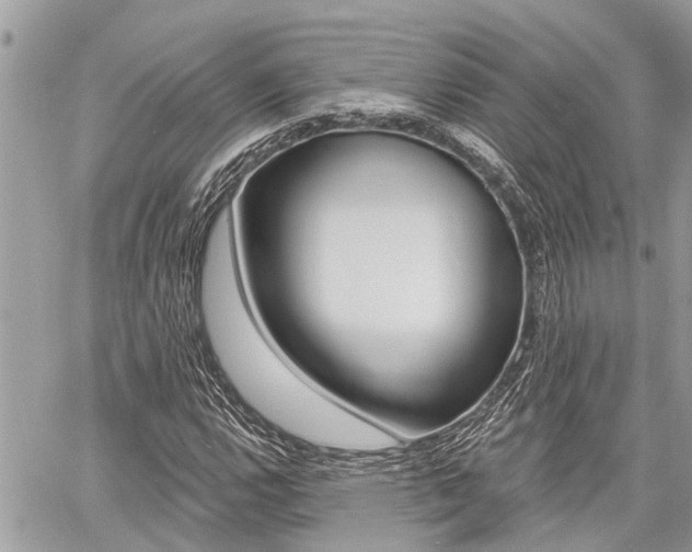 X0000060761112200511100906